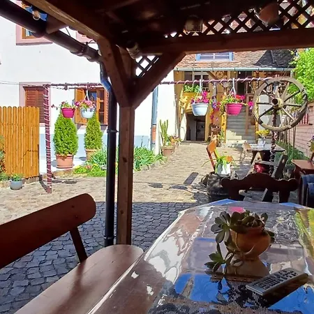 Pansiyon Casa Marcus