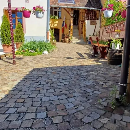 Homestay Casa Marcus *
